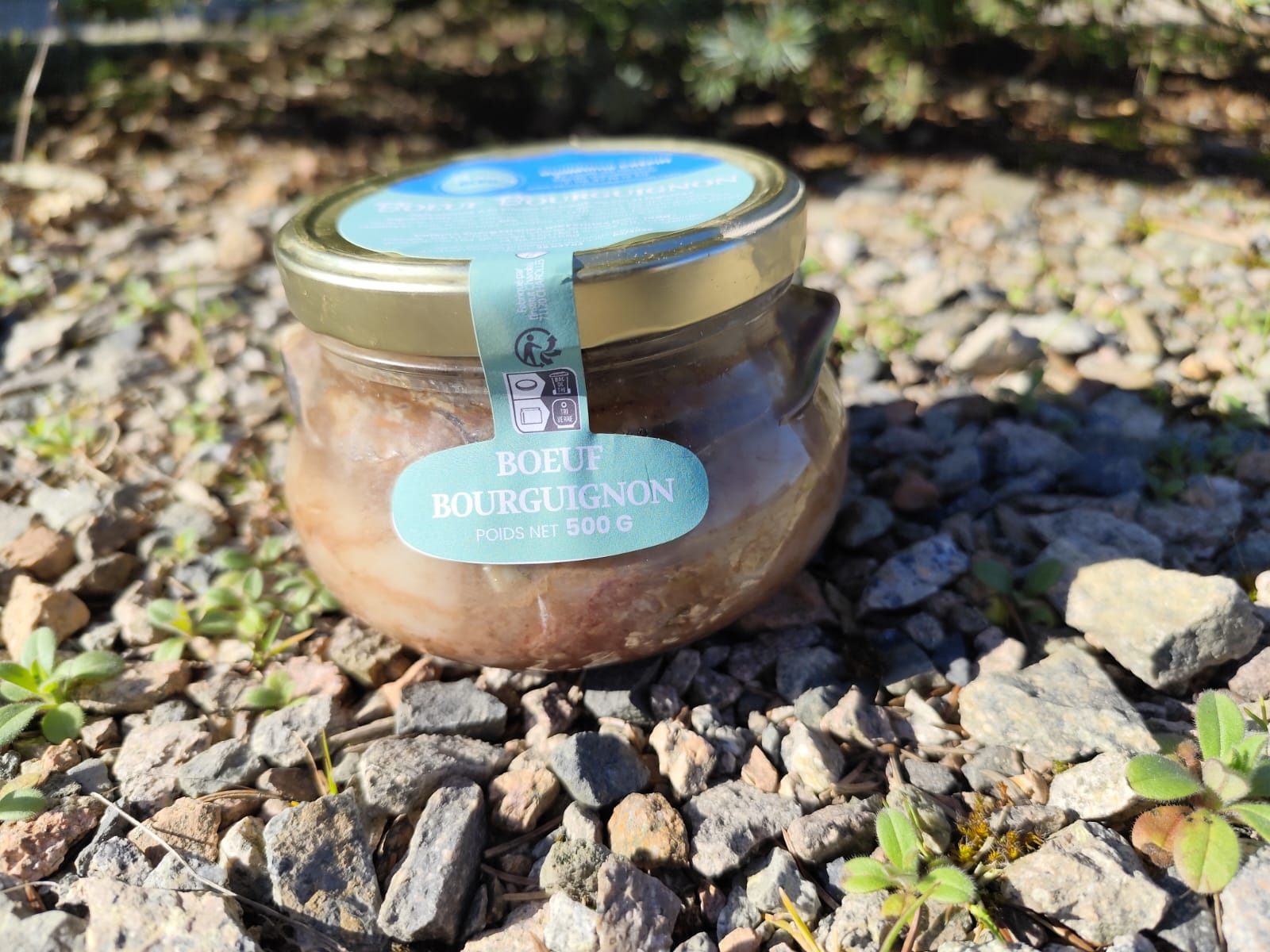 Bocal de boeuf bourguignon